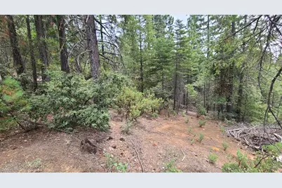 2678 Christmas Tree Lane, Georgetown, CA 95634 - Photo 7