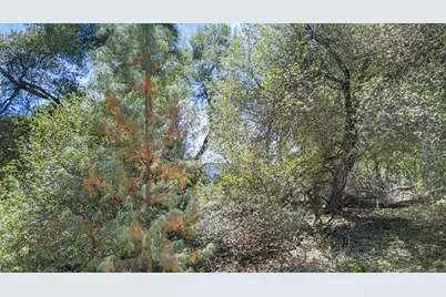 2 Berry Pond Road, Placerville, CA 95667 - Photo 7