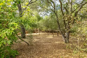 7034 Ara Ln, Carmichael, CA 95608 - Photo 47