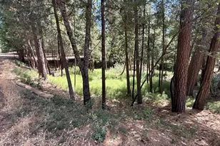 558 Roan Way, Avery, CA 95224 - Photo 1
