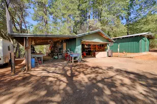 5540 Pine Ridge Rd, Foresthill, CA 95631 - Photo 11
