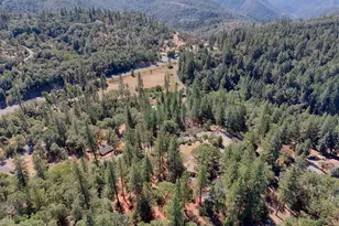 5540 Pine Ridge Rd, Foresthill, CA 95631 - Photo 27