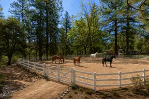 5540 Pine Ridge Rd, Foresthill, CA 95631 - Photo 15