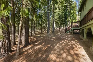 5690 Lupin Ln, Pollock Pines, CA 95726 - Photo 15
