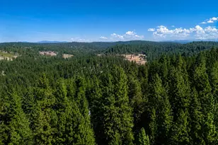 5690 Lupin Ln, Pollock Pines, CA 95726 - Photo 49