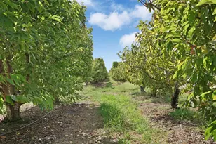 22559 N Peltier Ct, Acampo, CA 95220 - Photo 61