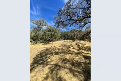 4748 Pine Tree Court, Pilot Hill, CA 95664 - Photo 19