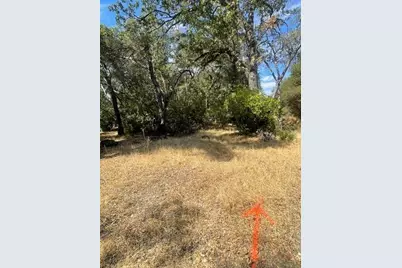 4748 Pine Tree Court, Pilot Hill, CA 95664 - Photo 25