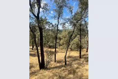 4748 Pine Tree Court, Pilot Hill, CA 95664 - Photo 9