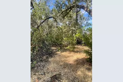 4748 Pine Tree Court, Pilot Hill, CA 95664 - Photo 23