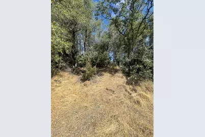 4748 Pine Tree Court, Pilot Hill, CA 95664 - Photo 21