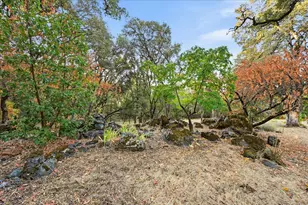 12501 Sutherland Dr, Grass Valley, CA 95949 - Photo 53