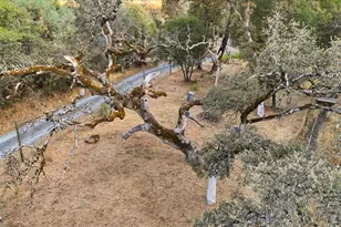 12501 Sutherland Dr, Grass Valley, CA 95949 - Photo 51