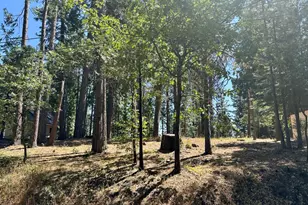 2659 Valley View Dr, Arnold, CA 95223 - Photo 1