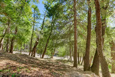 12277 Pawnee Trail, Nevada City, CA 95959 - Photo 23