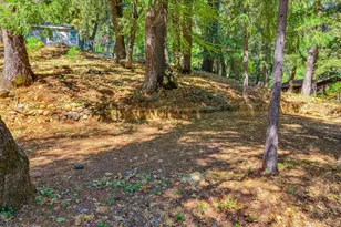 12277 Pawnee Trail, Nevada City, CA 95959 - Photo 1