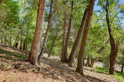12277 Pawnee Trail, Nevada City, CA 95959 - Photo 45