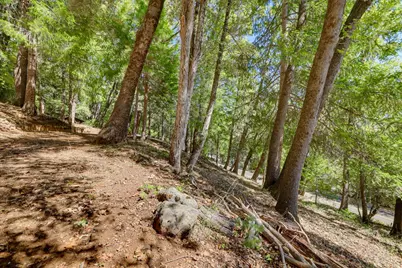 12277 Pawnee Trail, Nevada City, CA 95959 - Photo 13
