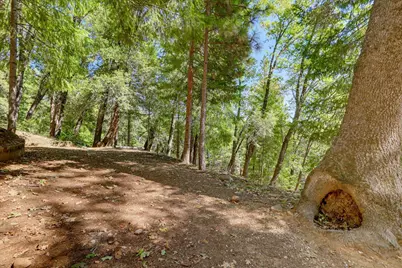 12277 Pawnee Trail, Nevada City, CA 95959 - Photo 43