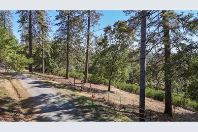5199 Roquero Cerro Road, Greenwood, CA 95635 - Photo 7