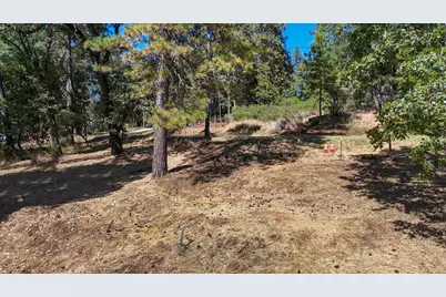 5199 Roquero Cerro Road, Greenwood, CA 95635 - Photo 5