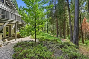 10433 Park Ave Ext, Nevada City, CA 95959 - Photo 55