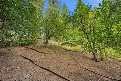 10433 Park Avenue Ext, Nevada City, CA 95959 - Photo 53
