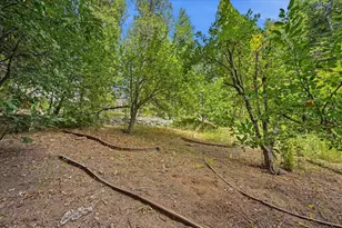 10433 Park Ave Ext, Nevada City, CA 95959 - Photo 53