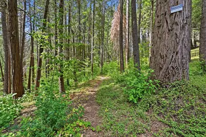 10433 Park Avenue Ext, Nevada City, CA 95959 - Photo 61