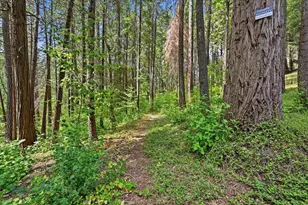 10433 Park Ave Ext, Nevada City, CA 95959 - Photo 61