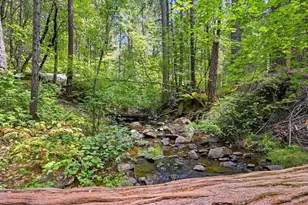 10433 Park Ave Ext, Nevada City, CA 95959 - Photo 69