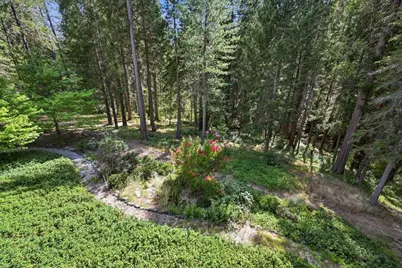 10433 Park Avenue Ext, Nevada City, CA 95959 - Photo 39