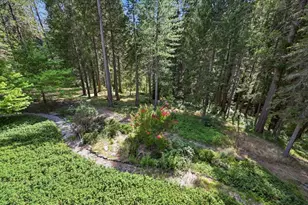 10433 Park Ave Ext, Nevada City, CA 95959 - Photo 39