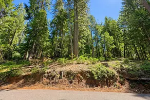 2220 Forebay Rd, Pollock Pines, CA 95726 - Photo 27