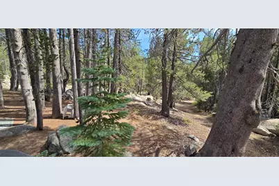 21031 Donner Pass Road, Soda Springs, CA 95728 - Photo 43