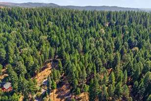 5299 Sierra Springs Dr, Pollock Pines, CA 95726 - Photo 45