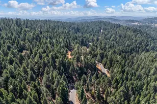 5299 Sierra Springs Dr, Pollock Pines, CA 95726 - Photo 43