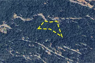 5299 Sierra Springs Dr, Pollock Pines, CA 95726 - Photo 47