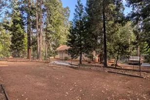 Prospect Pl, Pioneer, CA 95666 - Photo 49