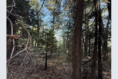 0 Chalk Bluff, Nevada City, CA 95959 - Photo 7