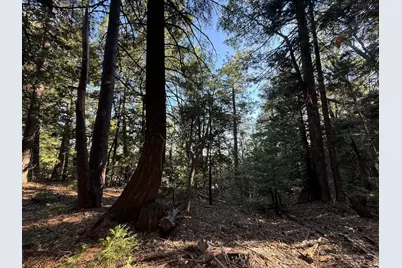 0 Chalk Bluff, Nevada City, CA 95959 - Photo 9