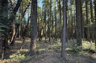 0 Chalk Bluff, Nevada City, CA 95959 - Photo 1