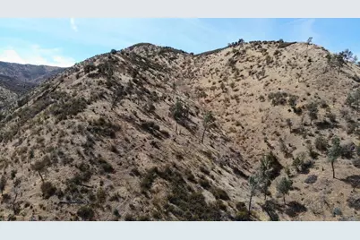 0 I-5 Highway, Newman, CA 95360 - Photo 3