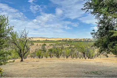 24501 County Road 22A, Esparto, CA 95627 - Photo 33