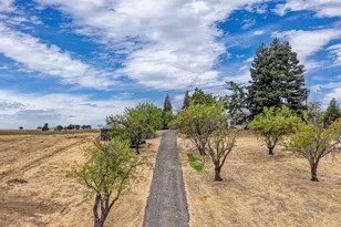 24501 Co Rd 22A, Esparto, CA 95627 - Photo 3