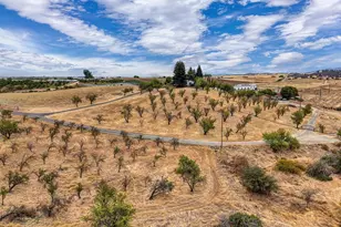 24501 Co Rd 22A, Esparto, CA 95627 - Photo 55