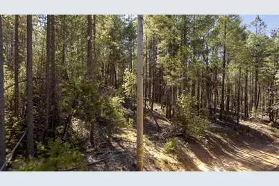 40 Ringtail Road, Georgetown, CA 95634 - Photo 21
