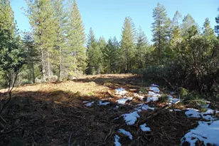 40 Ringtail Rd, Georgetown, CA 95634 - Photo 1