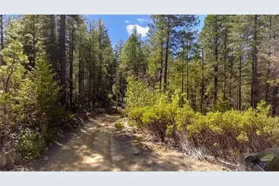 40 Ringtail Road, Georgetown, CA 95634 - Photo 15
