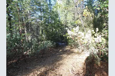 40 Ringtail Road, Georgetown, CA 95634 - Photo 17